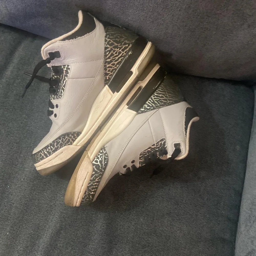 trainers